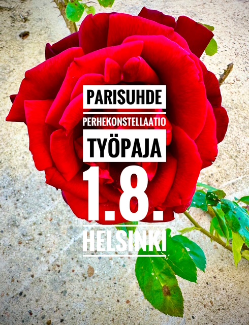 Parisuhde perhekonstellaatio Amita Lehti