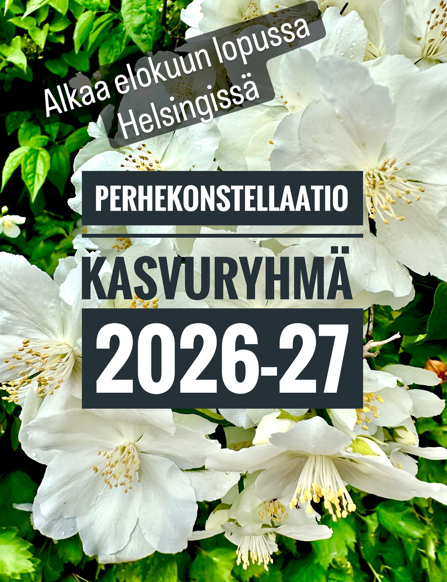 Parisuhde perhekonstellaatio Amita Lehti